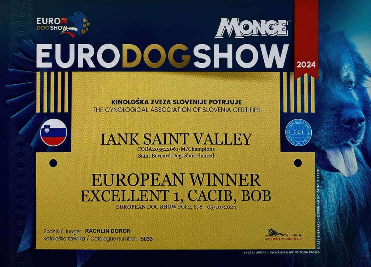 King of Valahia Saint Bernard kennel - We specialize in the breeding and care of Saint Bernards, offering well-groomed, pedigreed and properly vaccinated puppies.